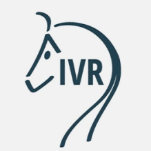 IVR