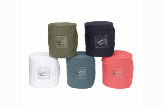 Eskadron Bandagen