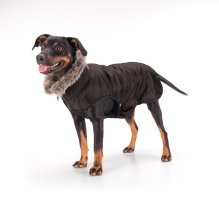 Hundezubehör