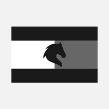 TOMMY HILFIGER EQUESTRIAN