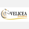 Velicea