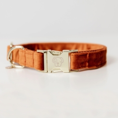 KENTUCKY Dogwear Hundehalsband Velvet orange 