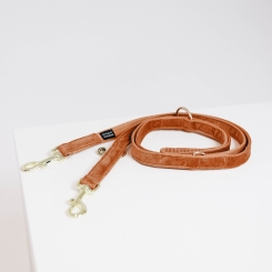 KENTUCKY Dogwear Hundeleine Velvet 2m orange 