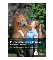 WALDHAUSEN Pferdeführerschein Umgang mit dem Pferd 