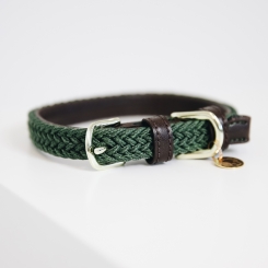 KENTUCKY Dogwear Hundehalsband Nylon geflochten olivegreen 