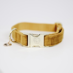 KENTUCKY Dogwear Hundehalsband Velvet mustard 