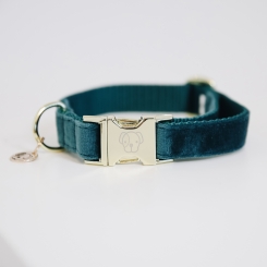KENTUCKY Dogwear Hundehalsband Velvet smaragd 