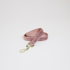 KENTUCKY Dogwear Hundeleine Velvet 1,20 m Altrosa 