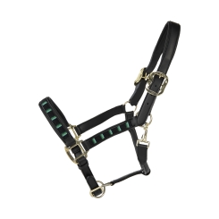 KENTUCKY Pearls Halfter schwarz 