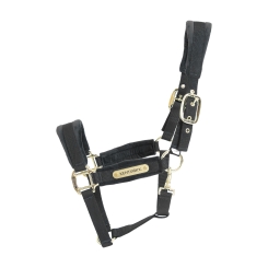 KENTUCKY Velvet Halfter schwarz 