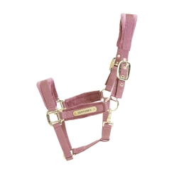 KENTUCKY Velvet Halfter alt rosa 