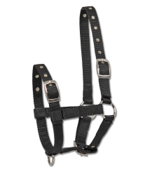 WALDHAUSEN Fohlenhalfter Triple 