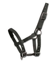 WALDHAUSEN Mini-Shetty Halfter 