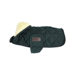 KENTUCKY Dogwear Hundemantel original dunkel grün 
