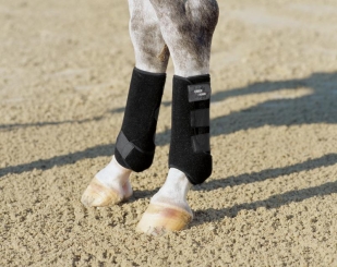 ESKADRON Gamasche Pro Dressage hinten CORE 
