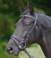 WALDHAUSEN Star Trensenzaum Diamond 