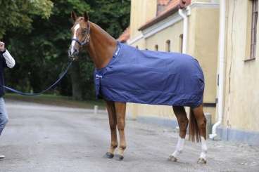 BUCAS Multi Underblanket 