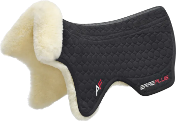 Erreplus 