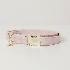 KENTUCKY Dogwear Hundehalsband Velvet hell rosa 