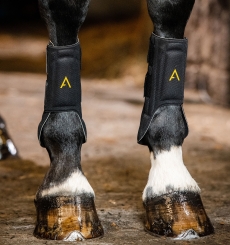 HORSEWARE Adagio Boots black 