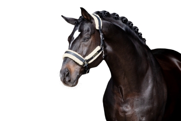 ESKADRON Schoner Faux Fur Set STALLION CORE natur 