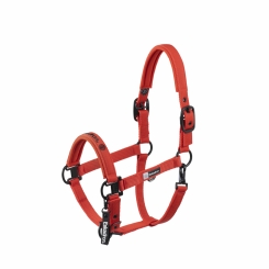 ESKADRON Halfter DOUBLE PIN poppy red (DYNAMIC Horse & Fanatics H/W 2025) 