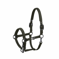 ESKADRON Halfter SPARKLE DOUBLE PIN deep green (DYNAMIC Horse & Fanatics H/W 2025) 