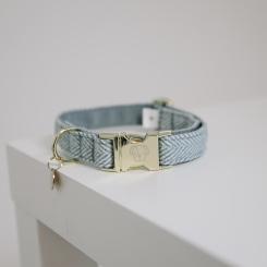 KENTUCKY Dogwear Hundehalsband Wolle hellblau 