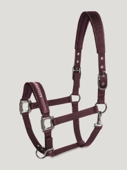 HILFIGER Halfter Set mit Strick YALE Deep Burgundy (HW 26) 