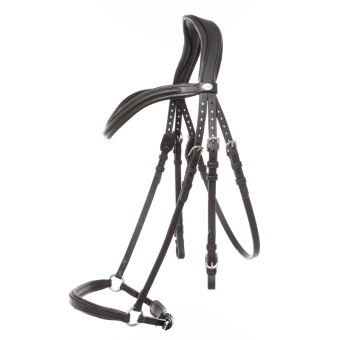 Kavalkade Trense geöltes Leder "Everana"  hannoversches Reithalfter, schwarz 