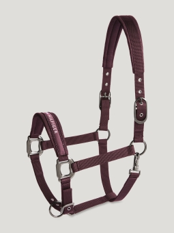 HILFIGER Halfter Set mit Strick YALE Deep Burgundy (HW 26) 