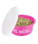 morepic-1