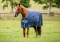 morepic-1