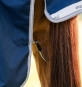 morepic-2