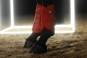 morepic-2
