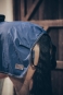 morepic-4