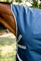 morepic-4