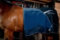 morepic-4