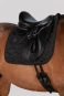 morepic-4
