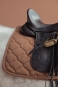 morepic-4